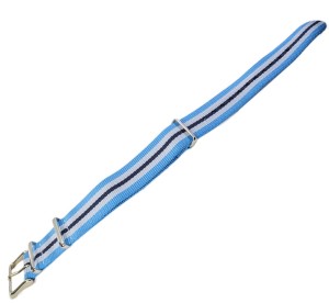 Pasek do Zegarka Timex TW2P91000 - PW2P91000 C3