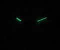 LWM0020 C FOSFOR NOCĄ.jpg