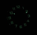 VR18-012 C FOSFOR NOCĄ.jpg