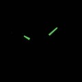 199-09 c fosfor nocą.jpg