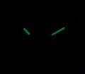 LWM0021 C FOSFOR NOCĄ.jpg