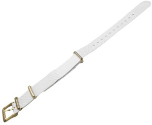 Pasek do Zegarka Timex TW2R49100 - PW2R49100 c4