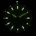 A1139.R113CH C FOSFOR NOCĄ.jpg