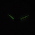 P2543.C152Q-T c fosfor nocą.jpg