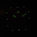 P2218.5113CH c fosfor nocą.jpg