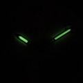 LWM0025 c fosfor nocą.jpg