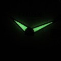 EU6070-51D c fosfor nocą.jpg