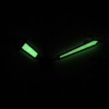 J7203.2 c fosfor nocą.jpg