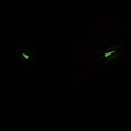 V02A-018V c fosfor nocą.jpg