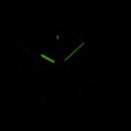 P2210.5114Q c fosfor nocą.jpg
