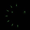 P60011.Y213A c fosfor nocą.jpg