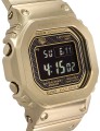 GMW-B5000GD-9ER b.jpg
