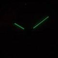 P97206.5113CHc fosfor nocą.jpg