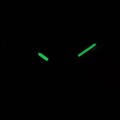 LWM0091 c fosfor nocą.jpg