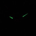 BC938-S c fosfor nocą.jpg