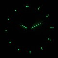 P97251.5113FQ c fosfor nocą.jpg