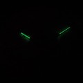P97258.5113QF c fosfor nocą.jpg