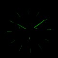A1139.1113CHN c fosfor nocą.jpg