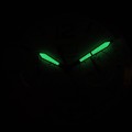 P11080.5253CH c fosfor nocą.jpg