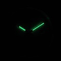 MTP-1302PE-2AVEF c fosfor nocą.jpg