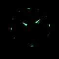 GA-010-1AER c fosfor nocą.jpg