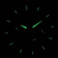 271-02 c fosfor nocą.jpg