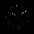 RM381JX9 c fosfor nocą.jpg
