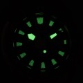 RH950RX9 c fosfor nocą.jpg