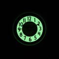 CWB0101 c fosfor nocą.jpg