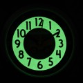 CWB0090 c fosfor nocą.jpg