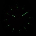 NAPKBN005 c fosfor nocą.jpg