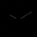 BKPCSS010 c fosfor nocą.jpg
