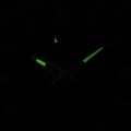 RW668AX9 c fosfor nocą.jpg