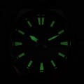 RH975RX9 c fosfor nocą.jpg