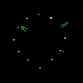 FS6095 c fosfor nocą.jpg
