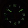 TW4B30800 c fosfor nocą.jpg