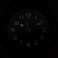 VR19-019 c fosfor nocą.jpg
