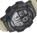 AE-1000W-5AVEF b3.jpg
