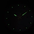 A8304.R1R7QA c fosfor nocą.jpg
