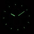 P97017.Y124CH c fosfor nocą.jpg