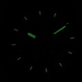 P60044.5114CH c fosfor nocą.jpg