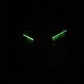 P2003.R2R6AS c fosfor nocą.jpg