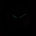 VS42-004 c fosfor nocą.jpg