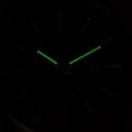 RH953SX9 c fosfor nocą.jpg