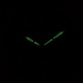 RH971SX9 c fosfor nocą.jpg