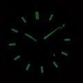 RH313BX9 c fosfor nocą.jpg