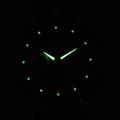 AV0104-06W c fosfor nocą.jpg