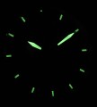 239-02 c fosfor nocą.jpg