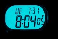 TW5M07000 c indiglo .jpg